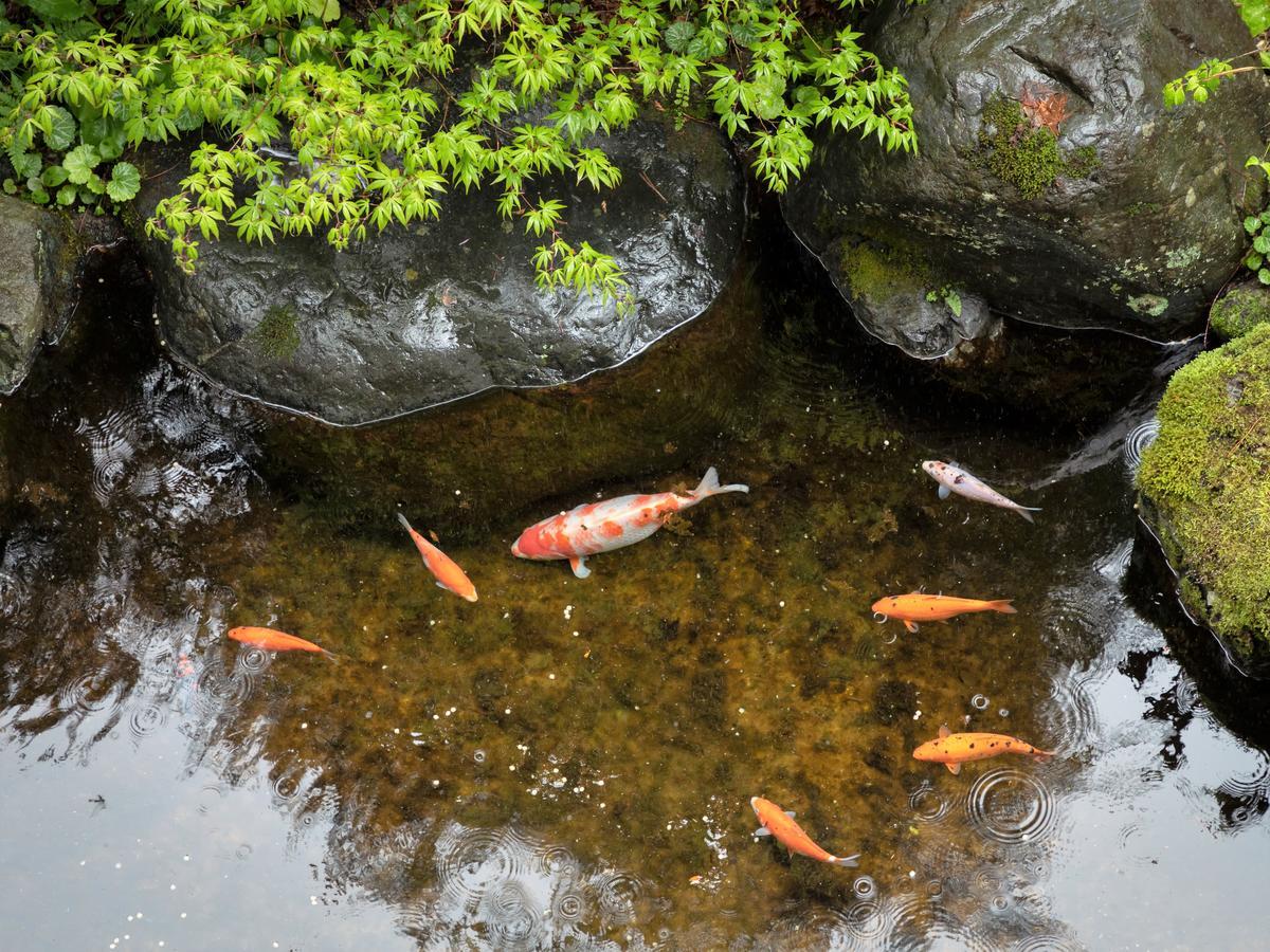 Ryokan Gizan Takayama  Esterno foto